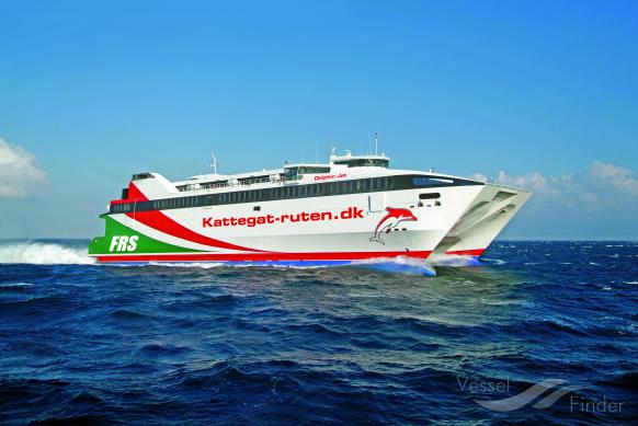 VIRGEN DE COROMOTO photo