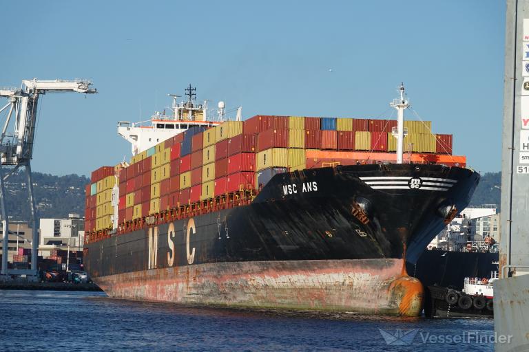 MSC ANS photo