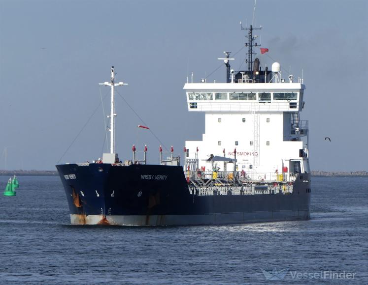 NORTHERN OSPREY photo