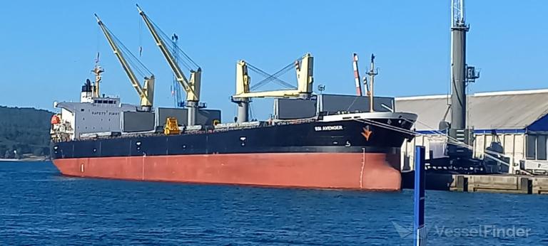 SSI AVENGER photo