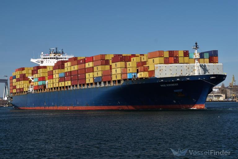 MSC EVEREST VIII photo