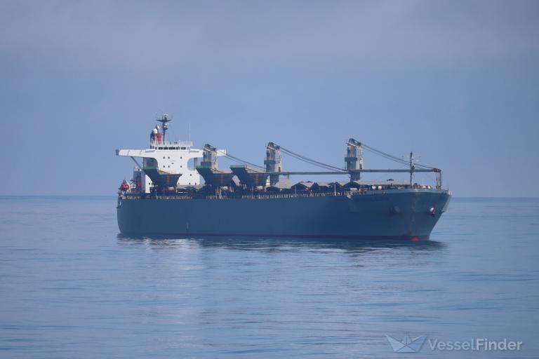 UNIVERSAL GLORIA photo