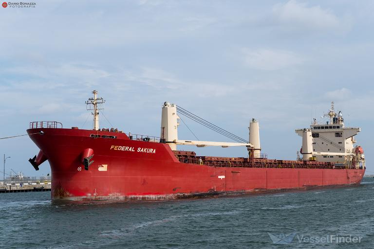 FEDERAL SAKURA photo
