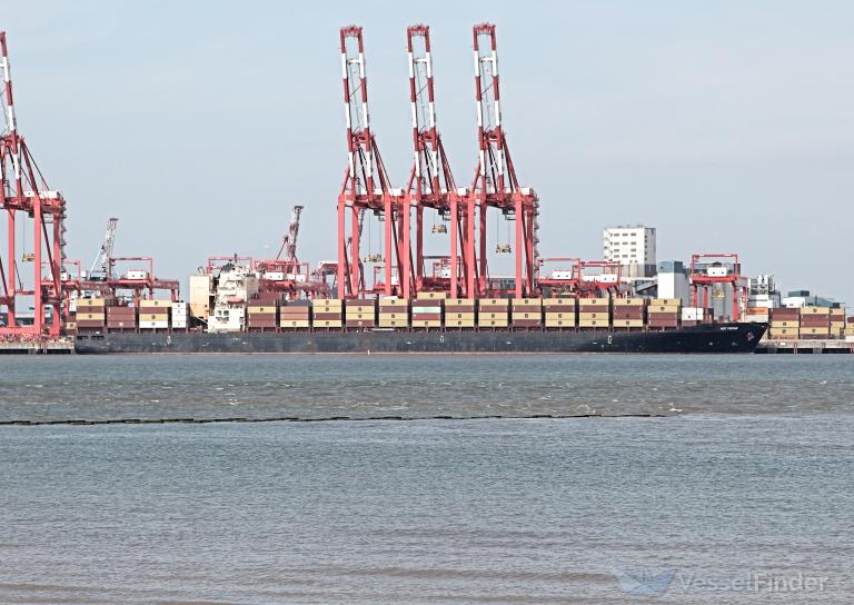 MSC TUXPAN