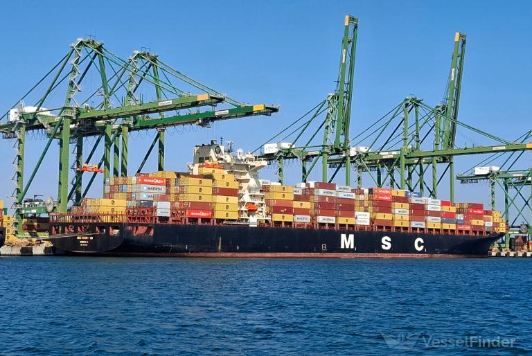 MSC NIOVI VIII photo