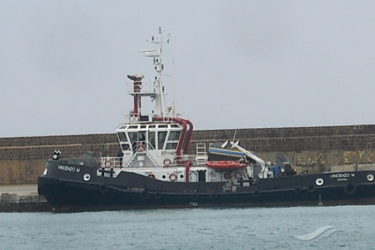 BIZON photo