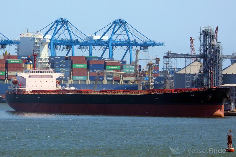 RIPLEY PINNACLE photo