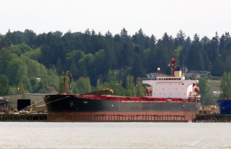 THOR, Bulk Carrier - Detalles del buque y posición actual - IMO 9291418 ...