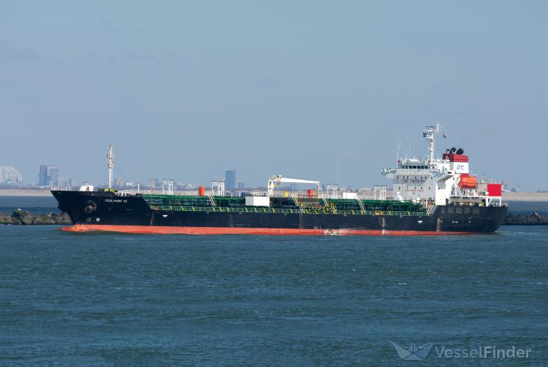 DOLPHIN 19 photo