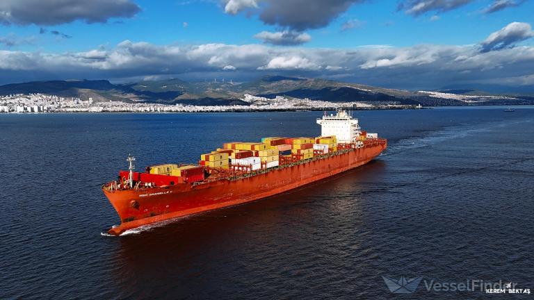 MSC SHANELLE V photo