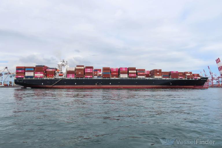 CONTI CONTESSA photo