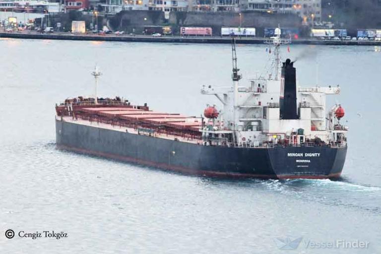 MINOAN DIGNITY photo