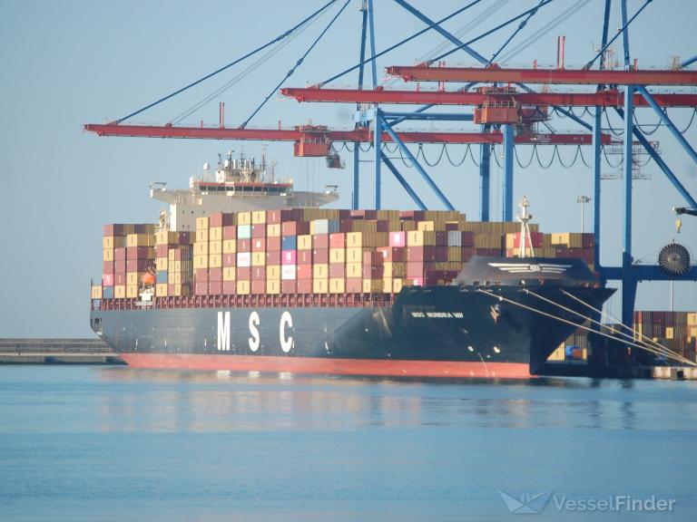 MSC MUNDRA VIII