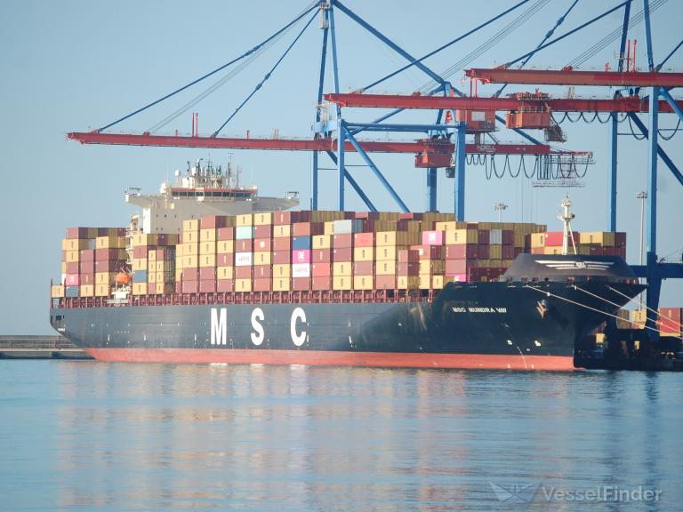 MSC MUNDRA VIII