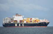 MSC-MARTA