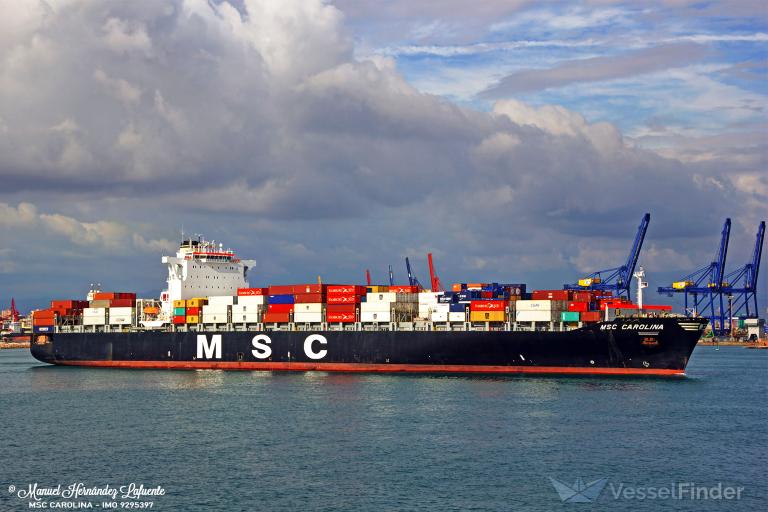 MSC CAROLINA photo