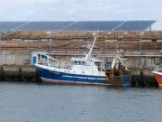 FV-GLORIEUSE-IMMACU