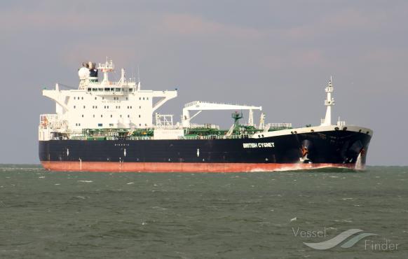 URSUS MARITIMUS photo