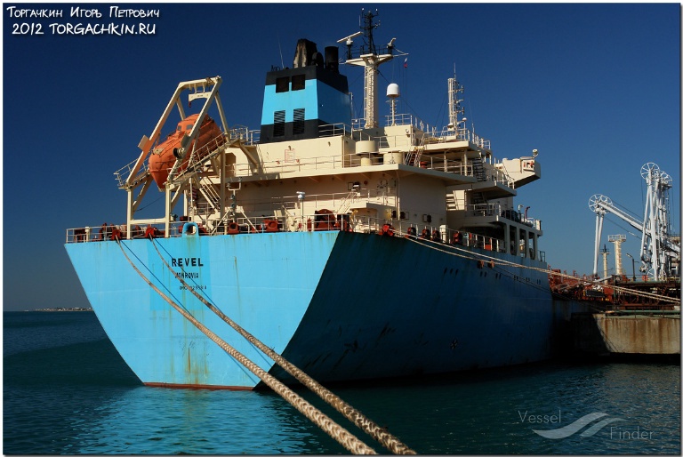 BLUE COMMANDER photo