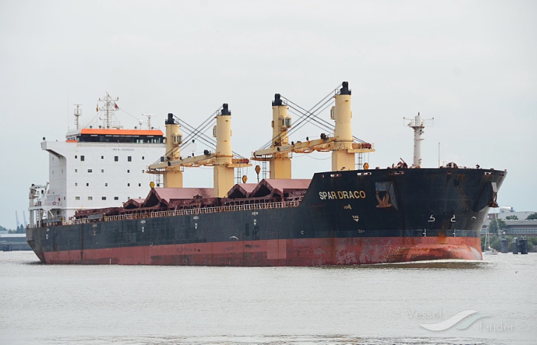 LIANSON DYNAMIC photo