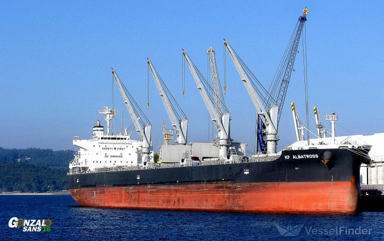 SPRING SYMPHONY photo