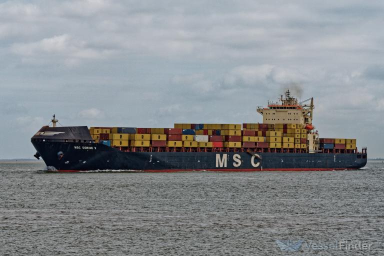 MSC DORINE V