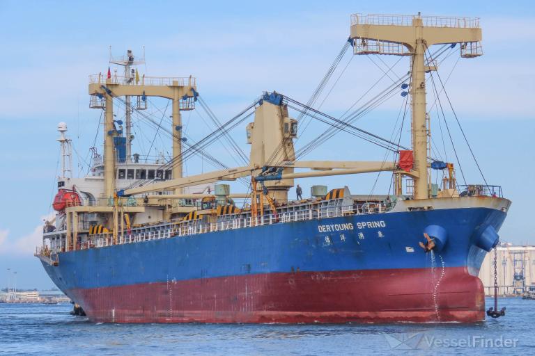 DERYOUNG SPRING photo