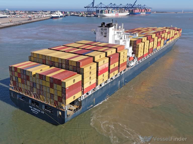 MSC DORADO VIII