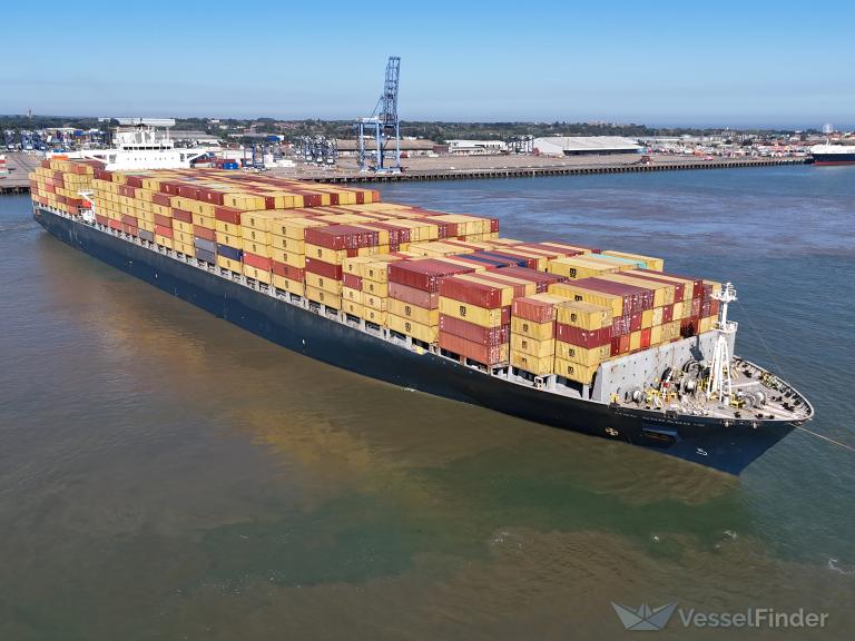 MSC DORADO VIII