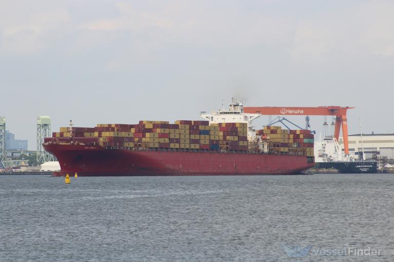 MSC UTMOST VIII
