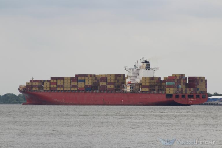 MSC UTMOST VIII