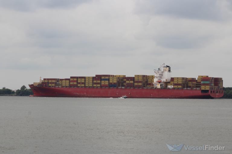MSC UTMOST VIII