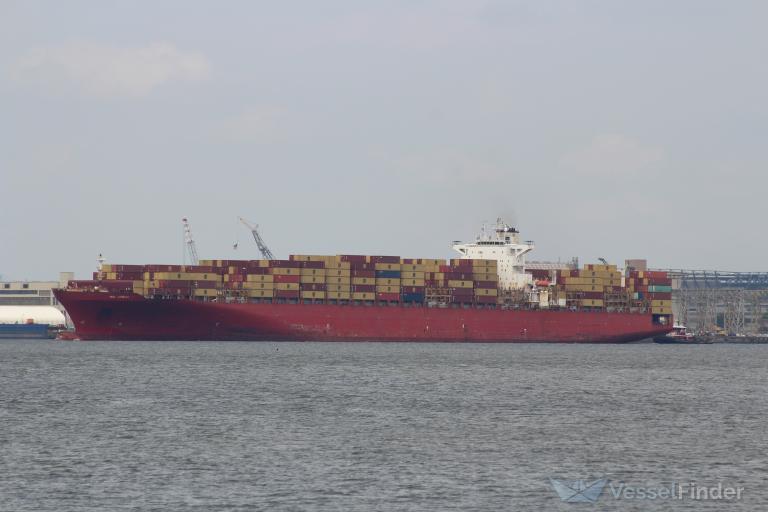 MSC UTMOST VIII