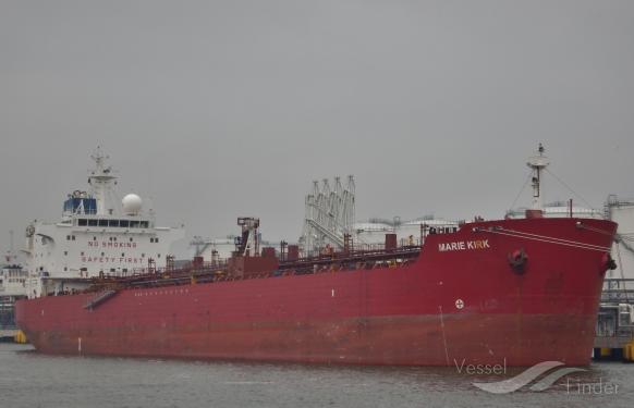 TENDER HARMONY photo