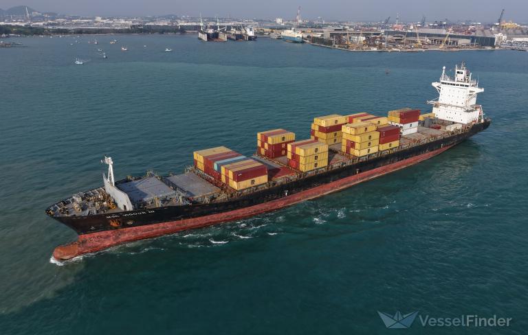 MSC VIGOUR III photo