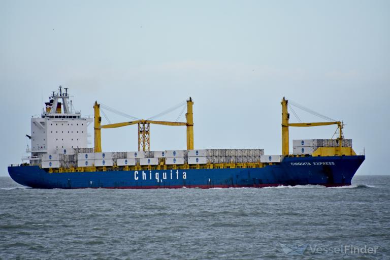 CHIQUITA EXPRESS photo