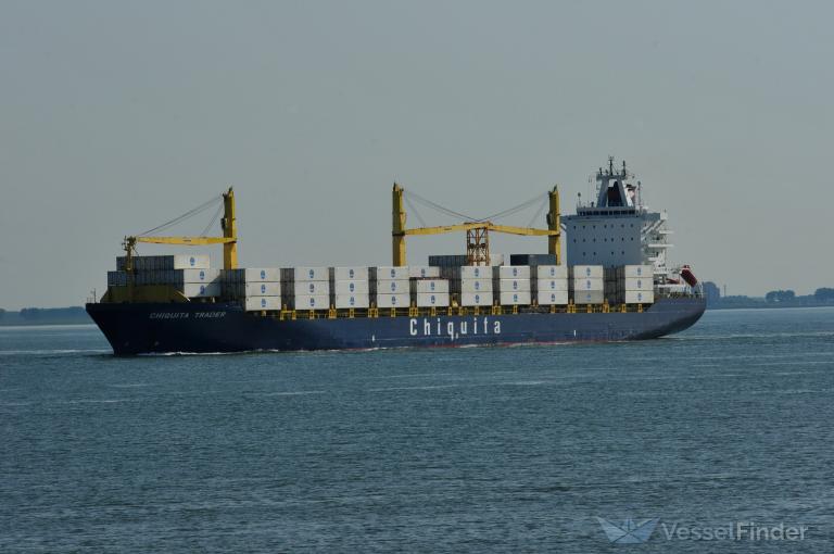 CHIQUITA TRADER photo