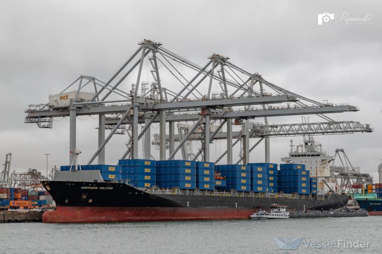 CHIQUITA VOYAGER photo