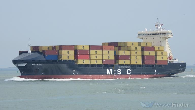 MSC CALISTA II