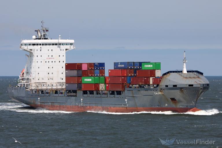 CALISTO, Container Ship - Details and current position - IMO 9306067 ...
