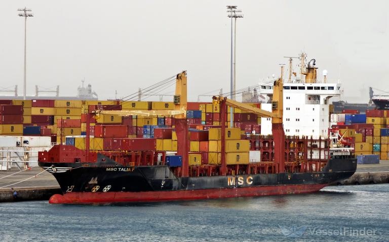 MSC TALIA F photo