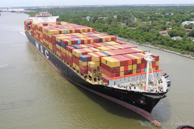 MSC RANIA VIII photo