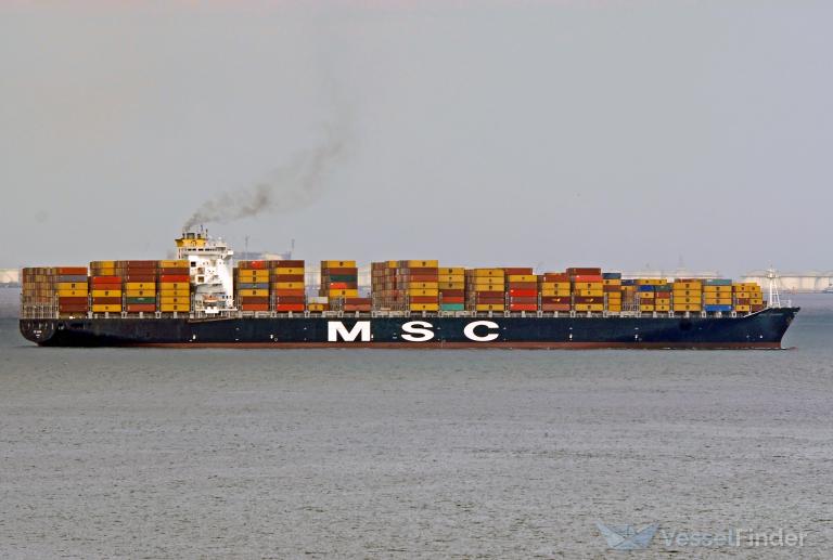 MSC SILVANA VIII