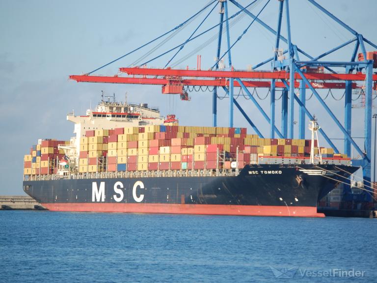 MSC TOMOKO photo