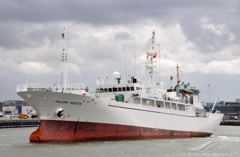 MME SEDA SAGUN photo