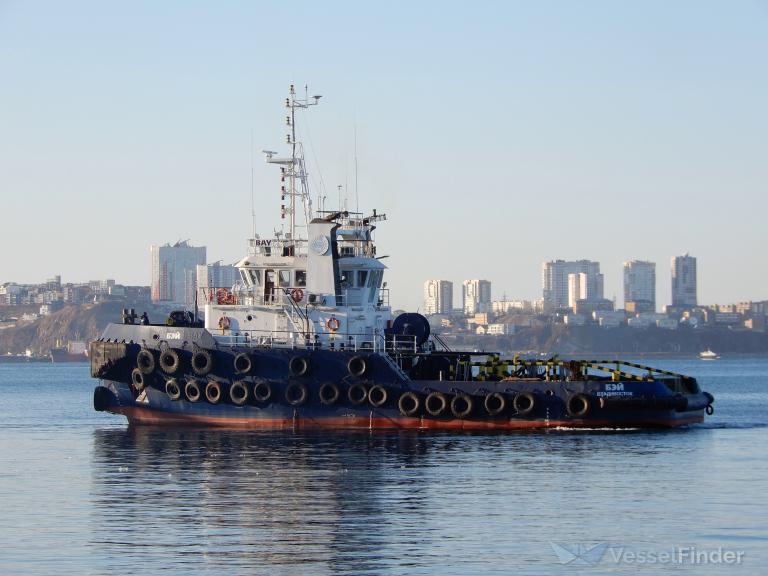 BAY photo