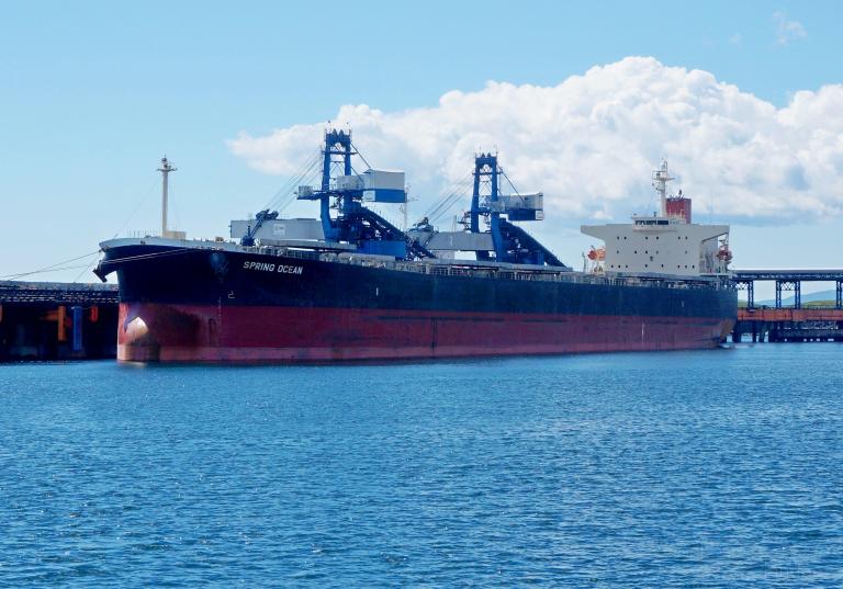 PANASIATIC, Bulk Carrier - Details and current position - IMO 9310276 ...