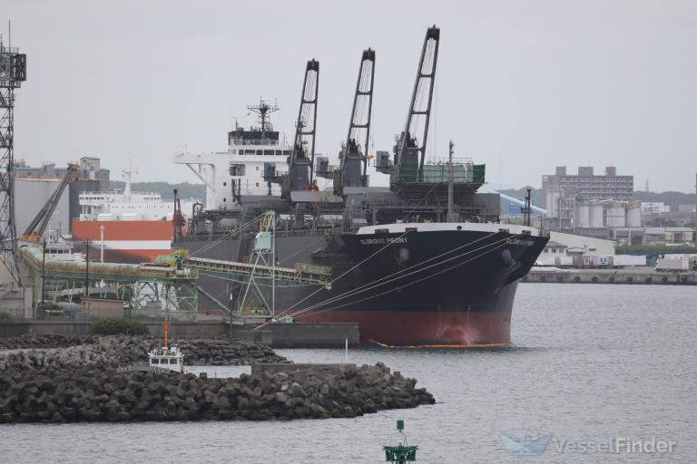 GLORIOUS PEONY photo
