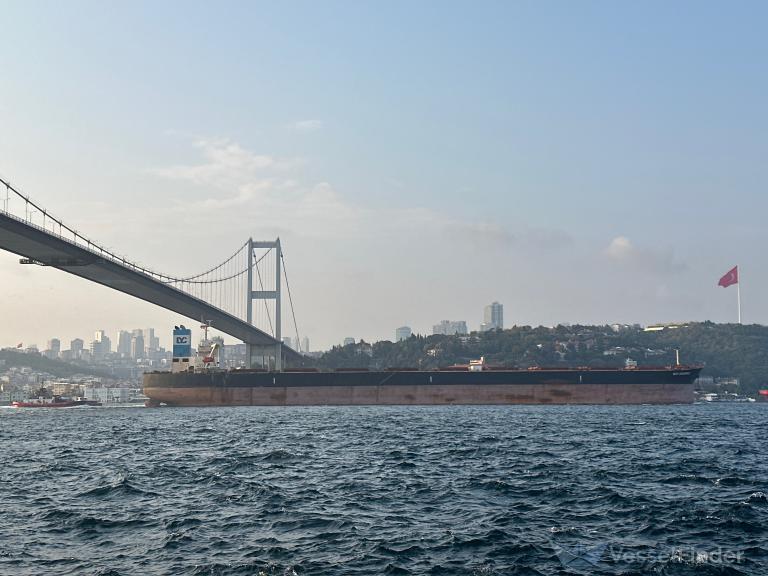 DEYI DILIGENCE photo