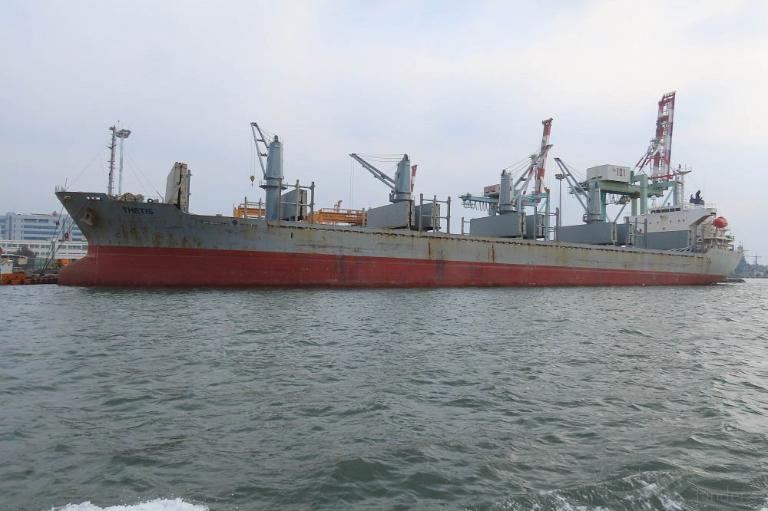 PIONEER FORTUNE photo